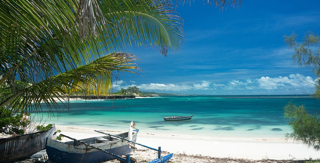 Eden Lodge 5* + Vanilla Hotel & Spa con escursioni