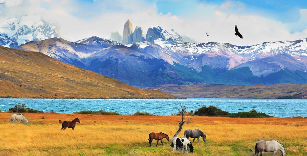 Tour da Santiago alla Patagonia