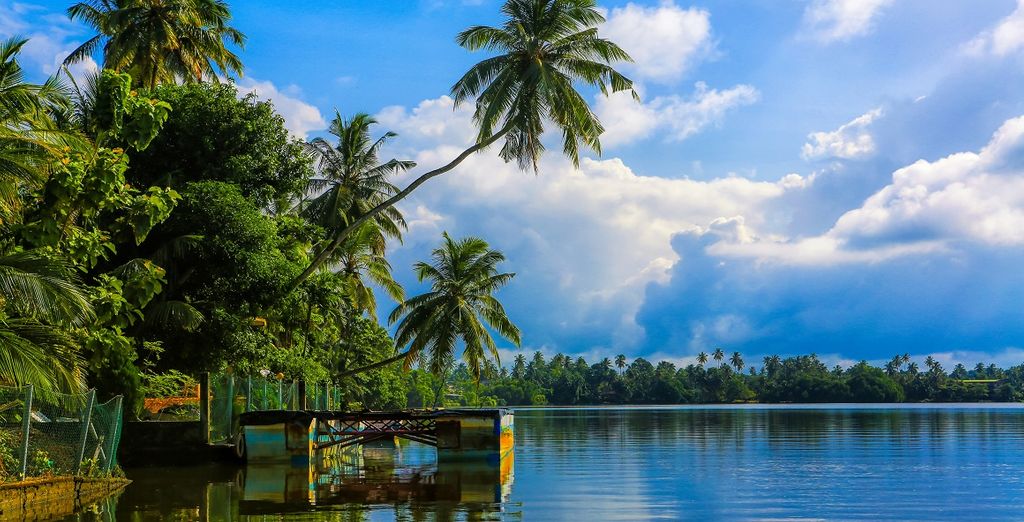 Tour Sri Lanka in hotel 4* + Avani Bentota Resort 5* 