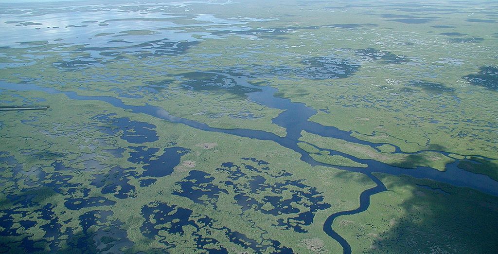 Il Meglio della Florida