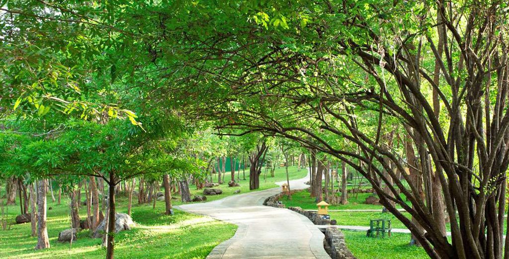 Minitour Colombo, Dambulla, Sigiriya e soggiorno mare a Chilaw
