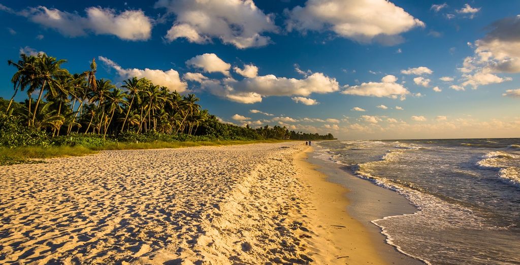 LaPlaya Beach Golf Resort & Spa 4* + Urbanica The Meridian Hotel Miami 4*