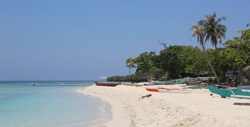 Tour privato delle Filippine con estensione mare a Bohol
