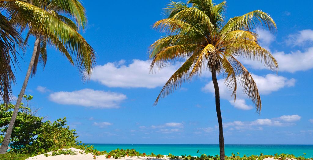 H10 Panorama Hotel 4* + Meliá Marina Varadero 5*
