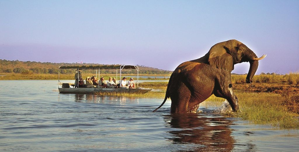 Tour alla scoperta di Botswana e Victoria Falls