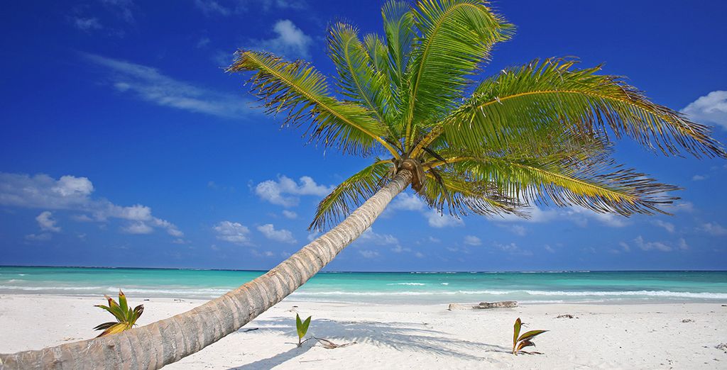 The Wyndham New Yorker 4* & Barcelo Maya Beach 5*