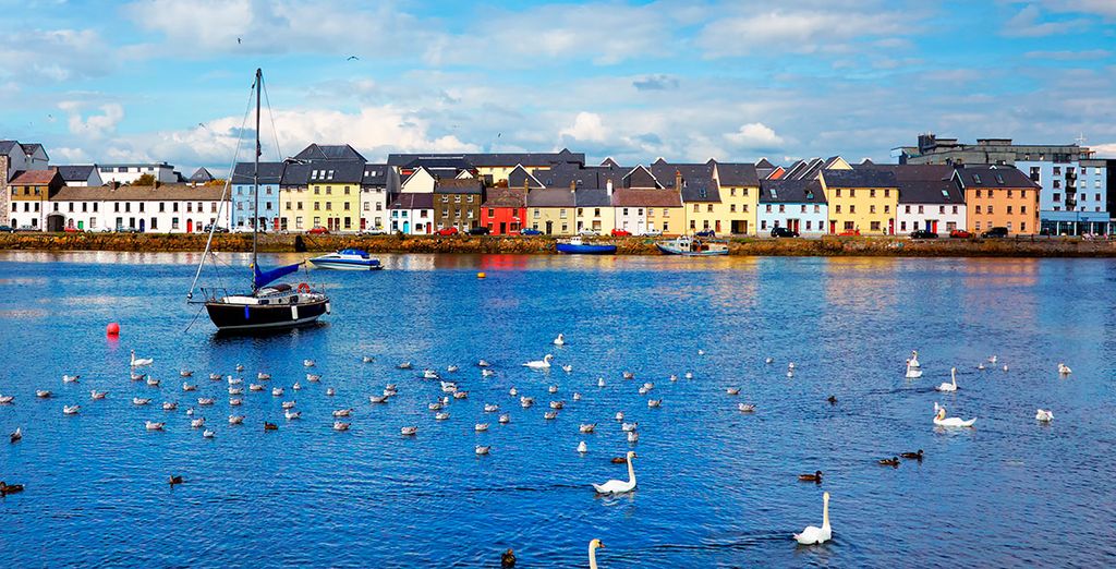 Autotour delle bellezze dell'Irlanda