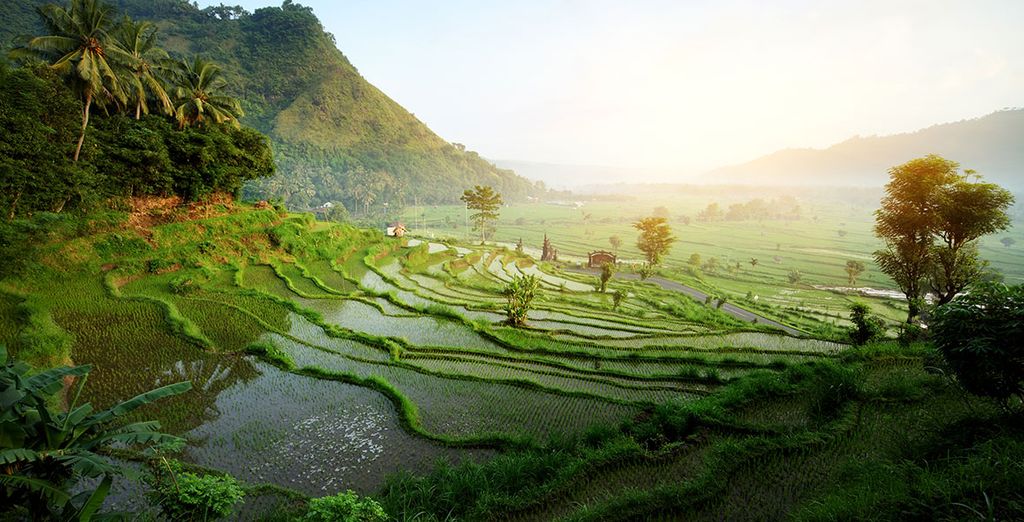 Petit Hotel 4* Ubud + Kupu Kupu Jimbaran Hotel 5*