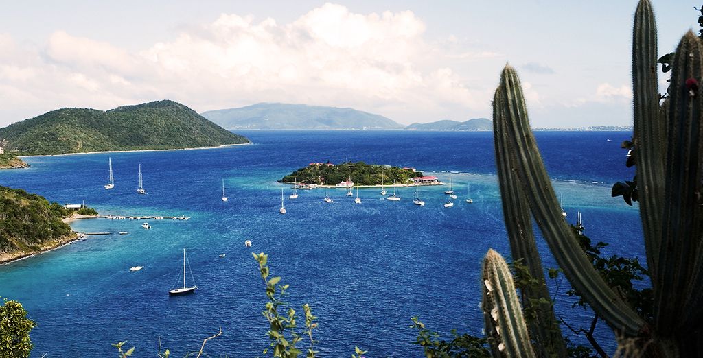 Crociera: 2 itinerari nelle Isole Vergini Britanniche e Tobago