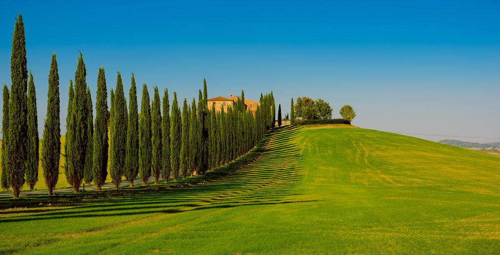Wine Tour in Tuscany