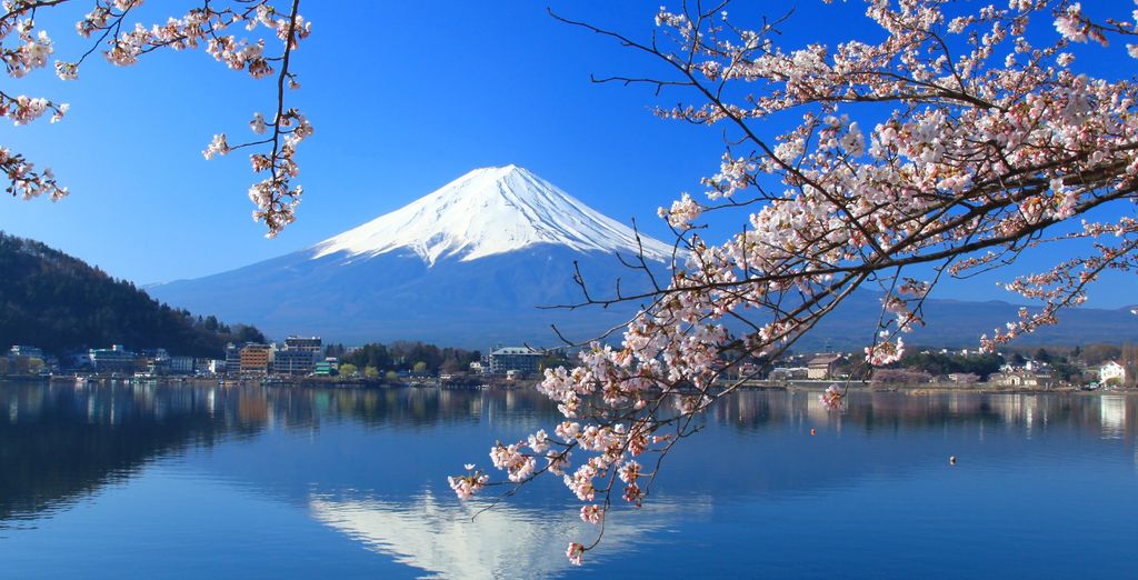 12-night tour: Golden Route tour