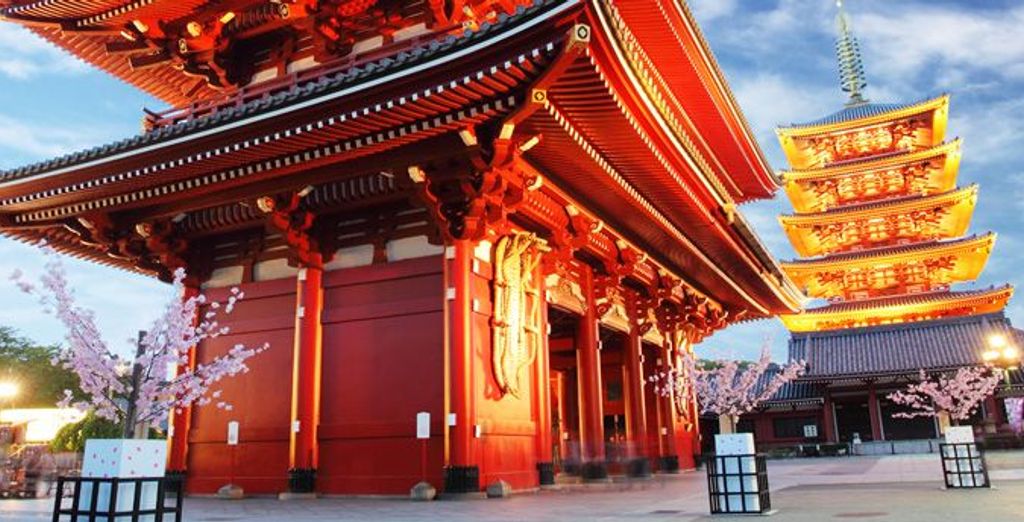 Tokyo Holiday Package AllInclusive Tour Voyage Privé