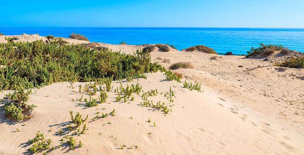 Corralejo Dunes national park in Fuerteventura