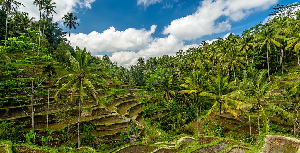 Fivelements Bali Retreat 5*