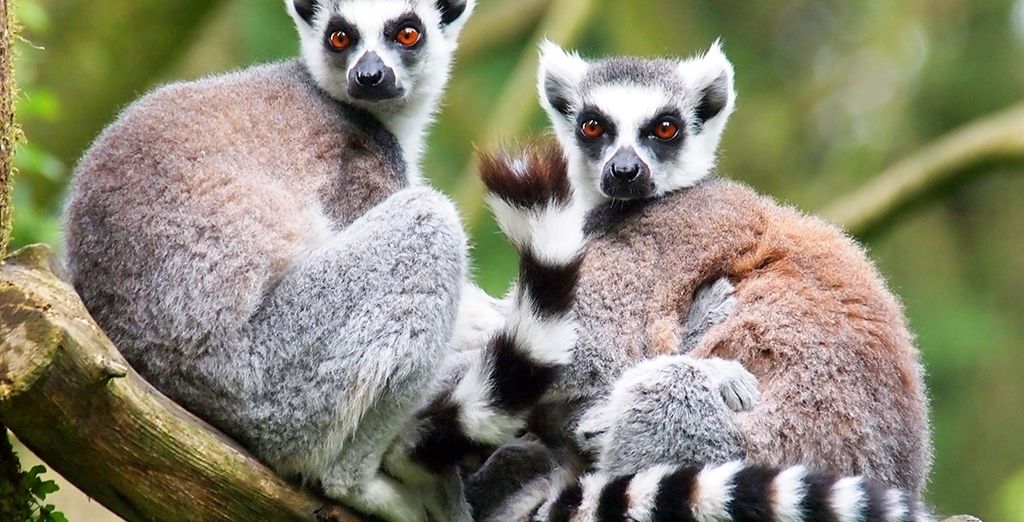 holidays to Madagascar