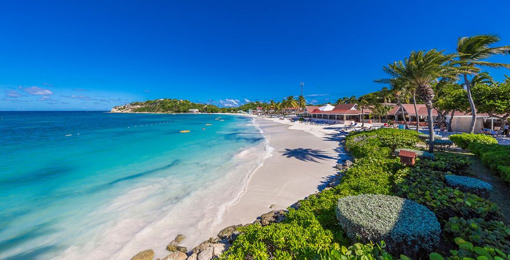 Discover Antigua and her Islands