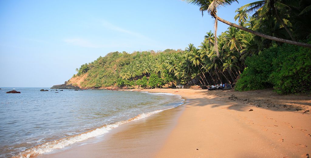 Enchanting India Tour & 5* Goa Beach Stay