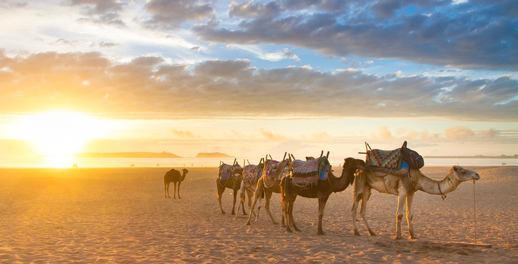 Last minute deals to Morocco