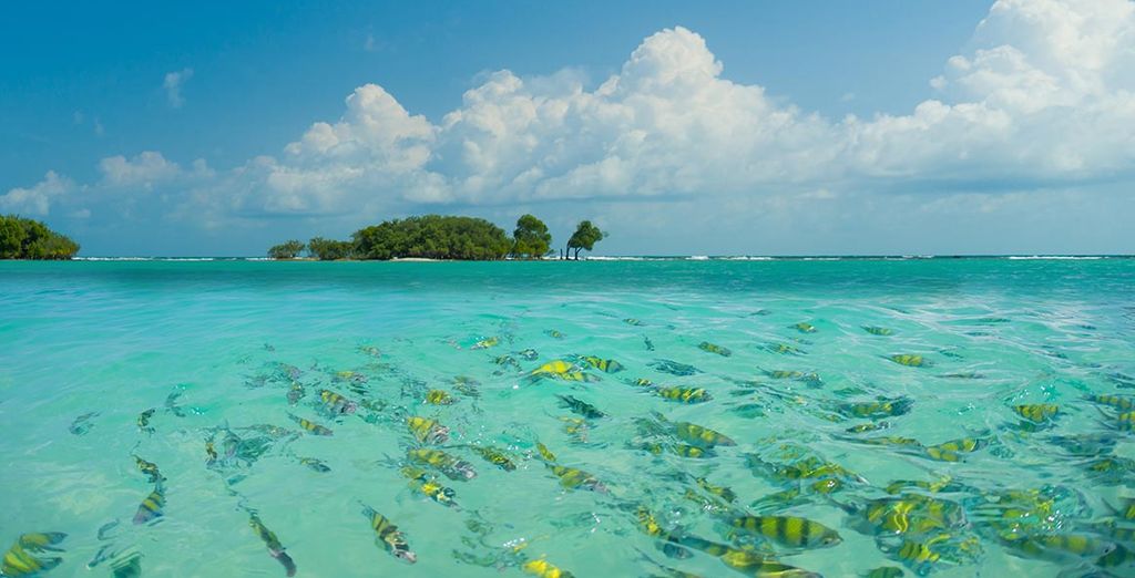 Red Ginger Chic Resort 4* & The Leaf Oceanside 4* Krabi Up to 70