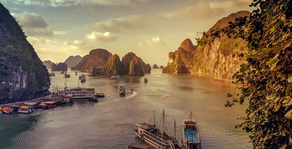 Vietnam Tours