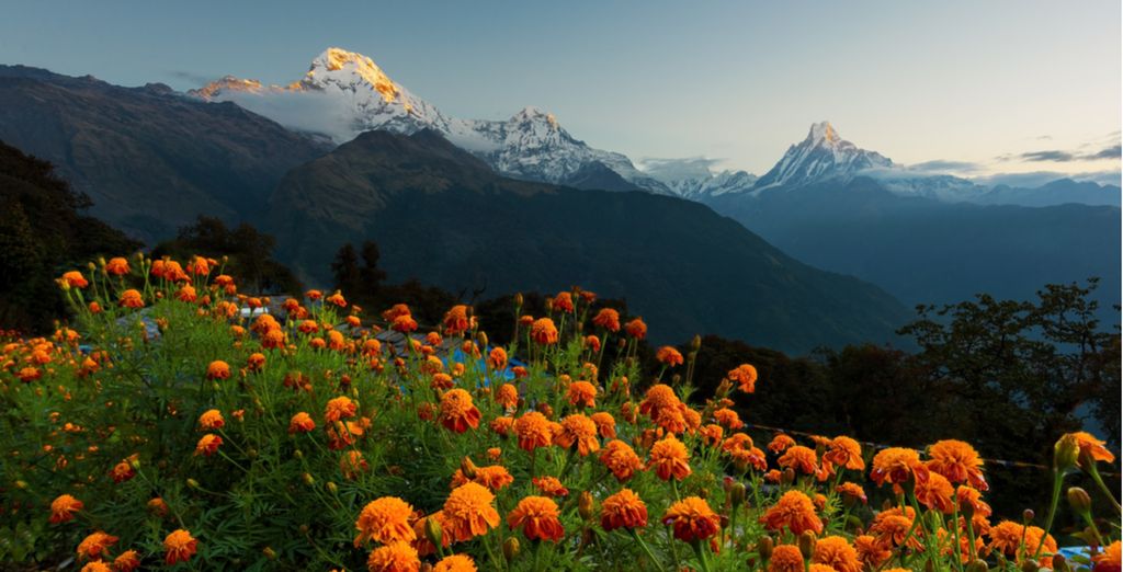 Classic Nepal Tour 3*/4*