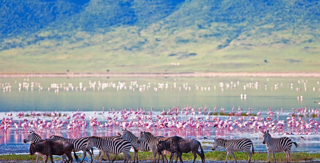 Tanzania Safari - Zanzibar