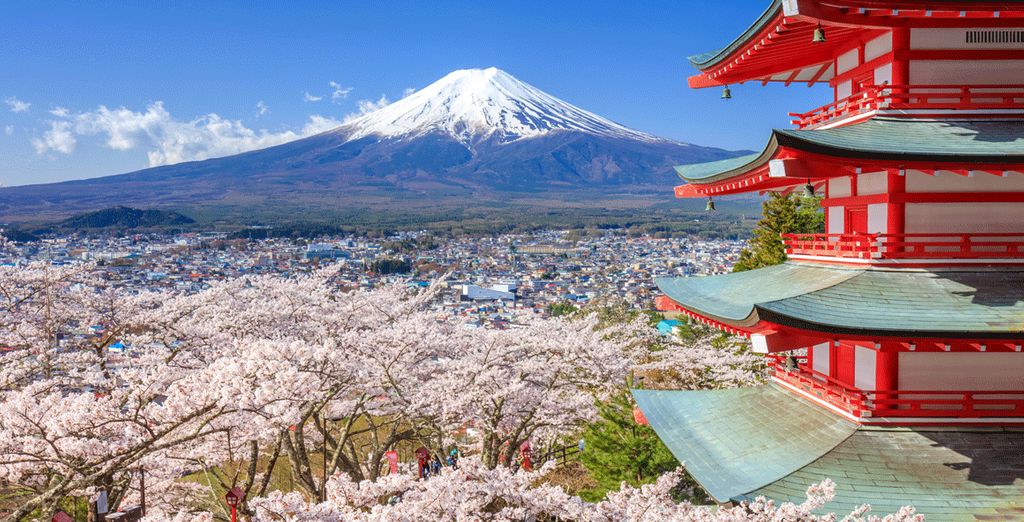Japan Travel Guide : Mont Fuji