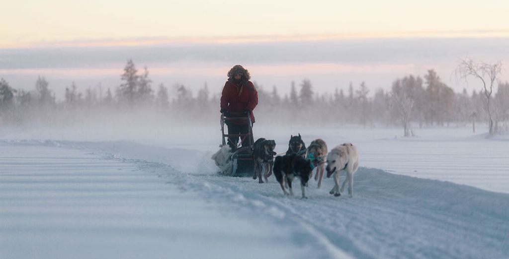 Discover the Wonders of Finland