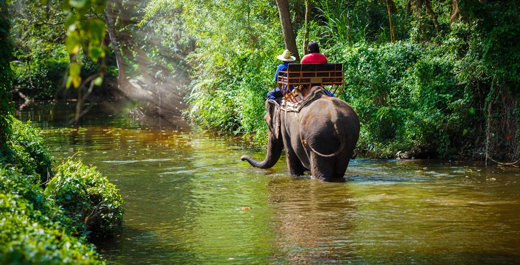 Thailand family activities - tour on Elephants