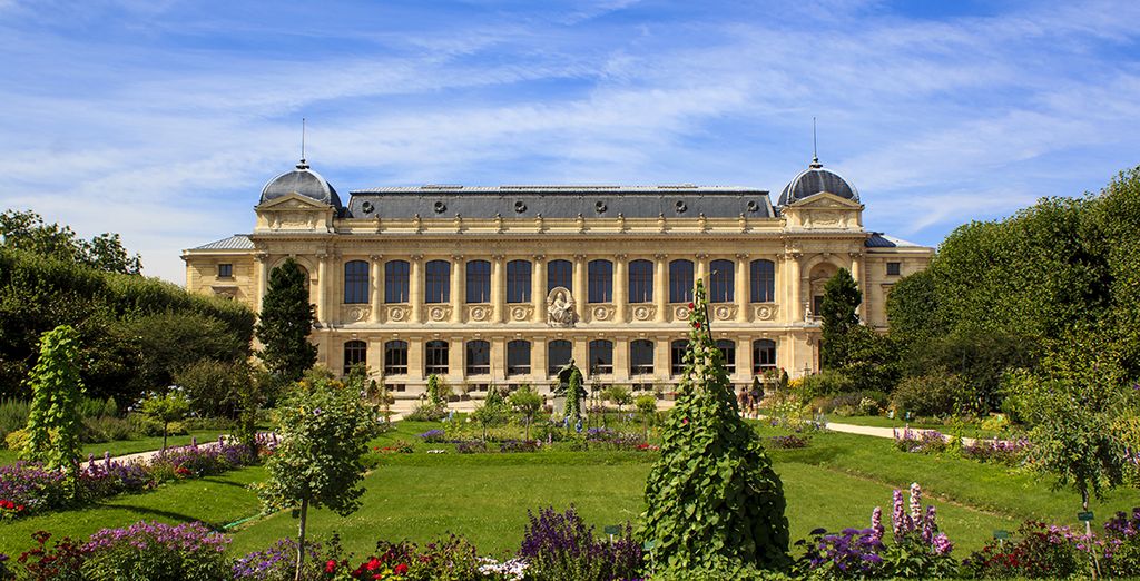 Paris cultural November