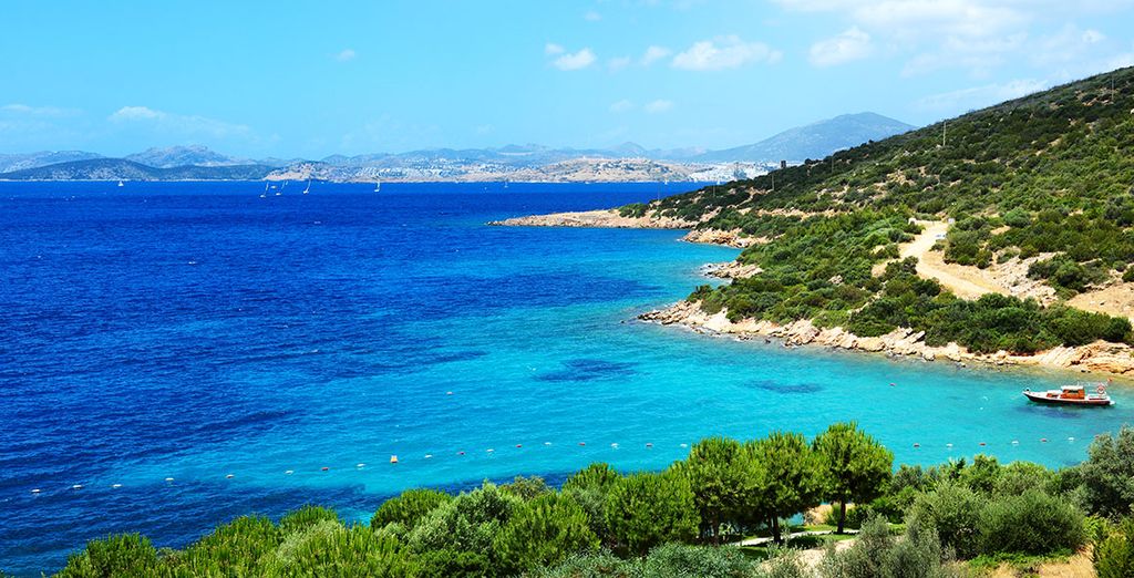 Bosphorus cruise experience