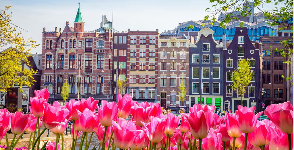 Hotel Amsterdam de Roode Leeuw 4*
