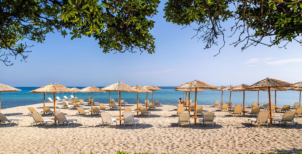 Kassandra Palace Seaside Resort 