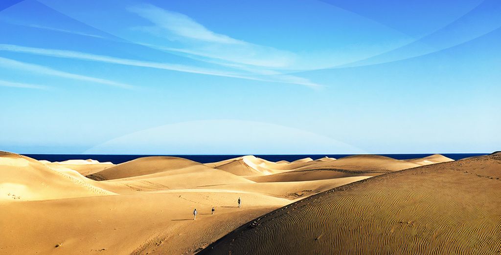 Servatur Monte Feliz