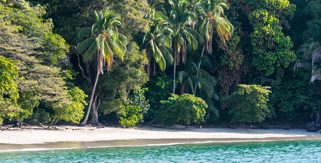 Dreams Las Mareas Costa Rica 5*