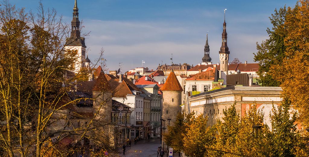 Tour di gruppo: Alla scoperta delle capitali scandinave e baltiche 