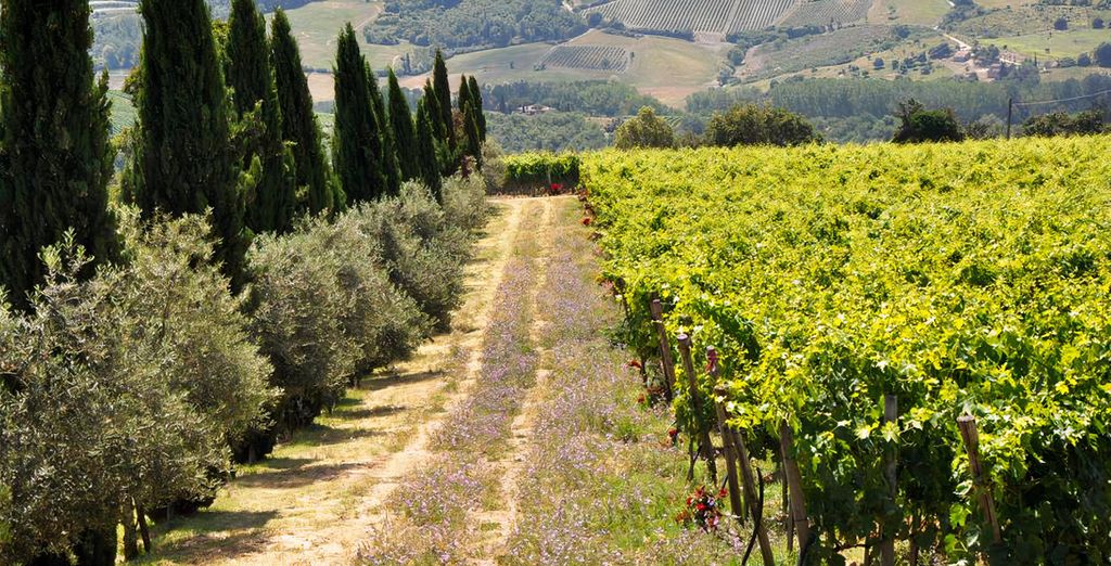 Agriturismo Borgo Castelvecchi