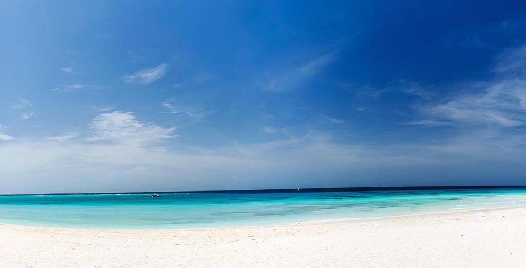 Combinato BlueBay Beach Resort & Spa 5* e Saadani Safari Lodge 4*