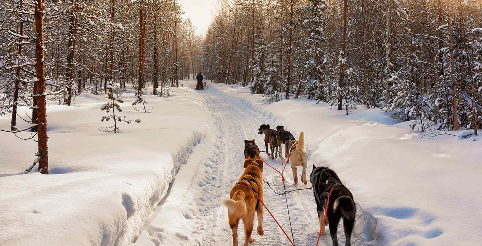 All Inclusive Holidays to Lapland 2024 Voyage Privé