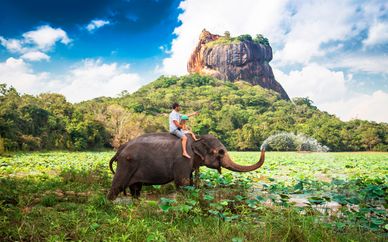 Tour privado por Sri Lanka con extensión a Wadduwa