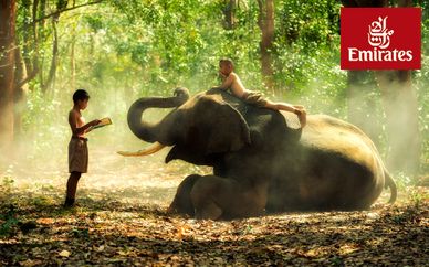 Circuito privado de lujo por Sri Lanka con opción a Dubái