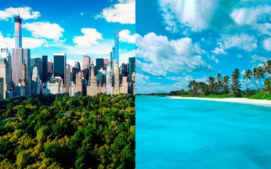 Freehand New York 4* y Breathless Punta Cana 5*