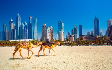 Media Rotana Dubai 5*
