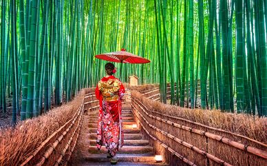 Autotour Traversée du Japon en 10 ou 12 nuits