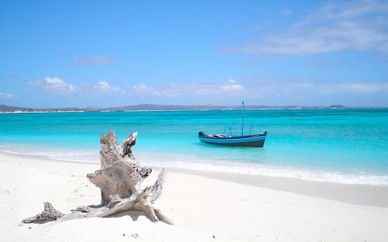 Hôtel Jumbo Watamu 4* et safari