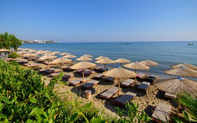 Hôtel Zephyros Beach 4*