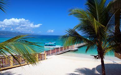 Hôtel Royalton Negril 5*