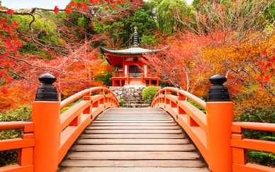 Circuit Découverte du Japon en liberté - 10 à 14 nuits