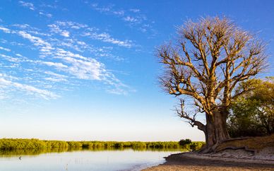 Circuit Les Mangroves du Sénégal