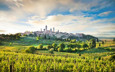 Escapade autour du vin en Toscane